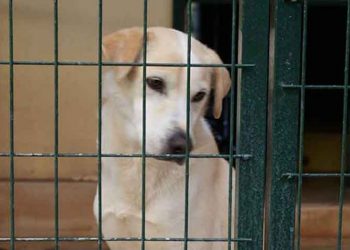 «Χρειάζομαι άμεσα βοήθεια…»