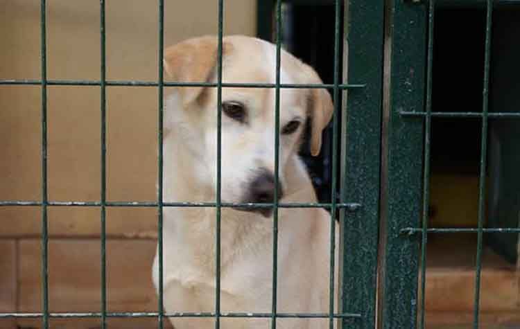 «Χρειάζομαι άμεσα βοήθεια…»