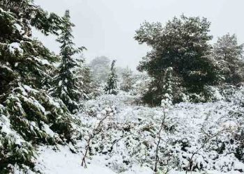 Οδηγίες προστασίας από τον παγετό