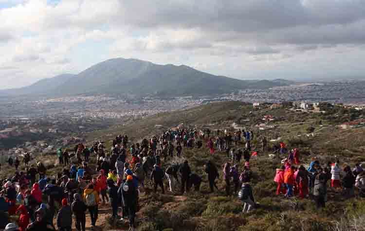 Στις 01/02 η αναβληθείσα Μαθητική Αναδάσωση στο Πεντελικό