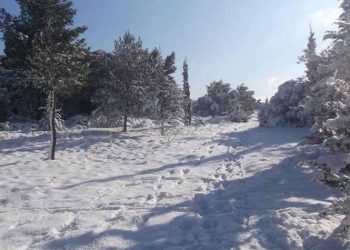 Στα λευκά «ντύθηκαν» τα Βόρεια Προάστια - Έκτακτα μέτρα της τροχαίας