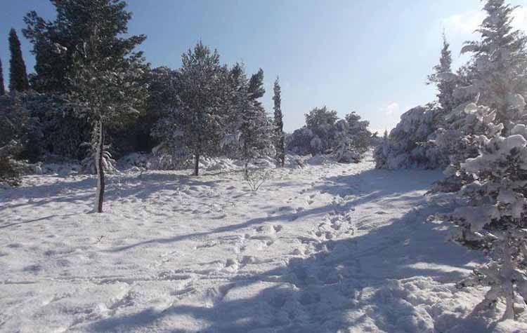 Στα λευκά «ντύθηκαν» τα Βόρεια Προάστια - Έκτακτα μέτρα της τροχαίας