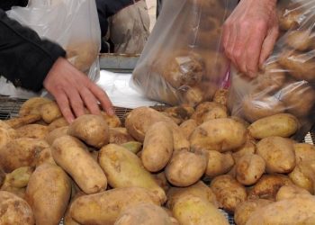 Νέα διάθεση προϊόντων Ελλήνων παραγωγών σε χαμηλές τιμές