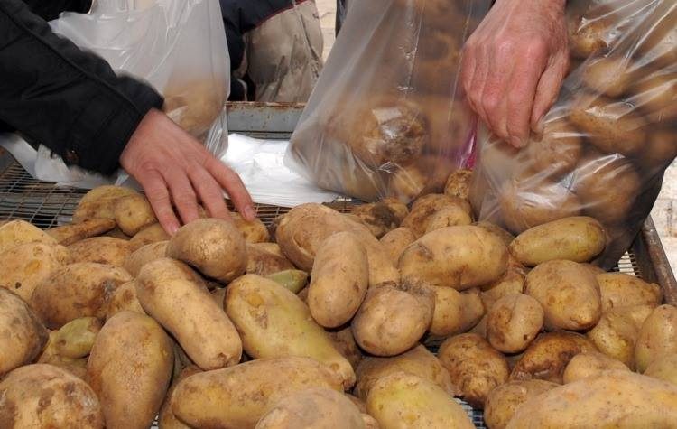 Νέα διάθεση προϊόντων Ελλήνων παραγωγών σε χαμηλές τιμές