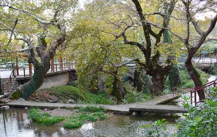 Εγκώμιον νερού