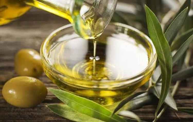 Σεμινάριο για το ελαιόλαδο στο Δημόσιο ΙΕΚ Κηφισιάς