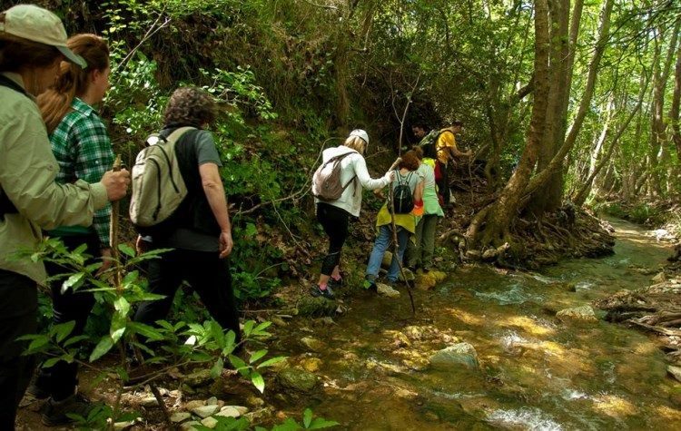 Η ώρα της ετήσιας συνέλευσης για τον Σύλλογο Ρεματιάς