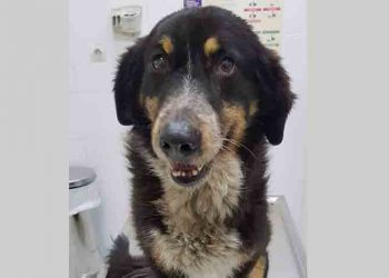 Τον γνωρίζετε;