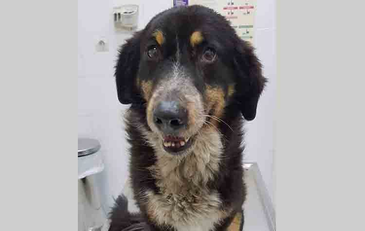 Τον γνωρίζετε;