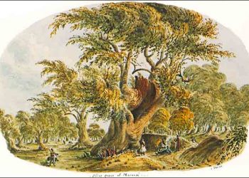 1857: Κεραυνός σκοτώνει τον γεωργό Σταύρο Τσουκλείδη