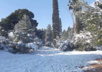 Χιονιάς και ηγεσία