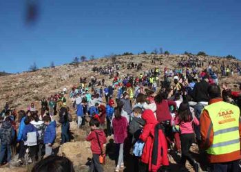 Χιλιάδες μαθητές και ο Σάκης Ρουβάς αναδάσωσαν το Πεντελικό