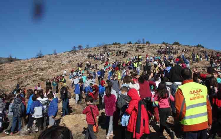 Χιλιάδες μαθητές και ο Σάκης Ρουβάς αναδάσωσαν το Πεντελικό