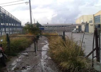 Γ. Θεοδωρακόπουλος: «Ο αθλητισμός είναι κοινωνικό αγαθό»