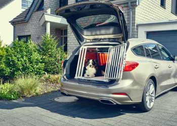 Ο Emil βοήθησε στη σχεδίαση του νέου Ford Focus