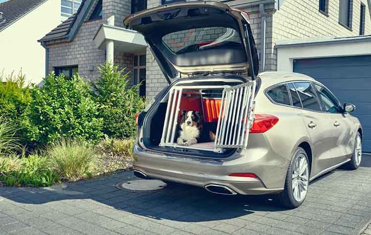 Ο Emil βοήθησε στη σχεδίαση του νέου Ford Focus