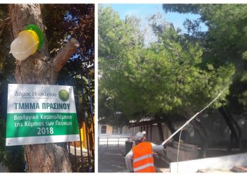 Συνεχίζονται οι παρεμβάσεις αντιμετώπισης της κάμπιας στο Ηράκλειο