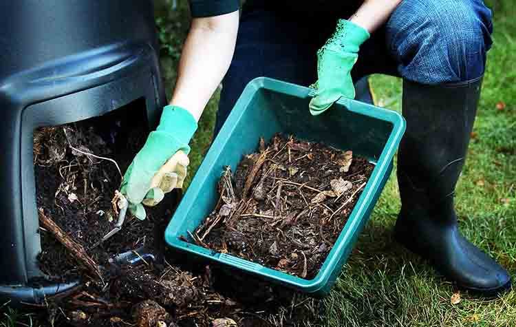 «Πράσινη εκστρατεία» από τον Δήμο Παπάγου - Χολαργού