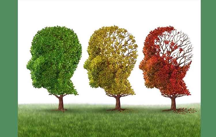 Συμβουλευτικός Σταθμός για το Alzheimer στον Δήμο