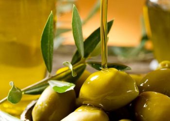 Τα δώρα της Ελιάς