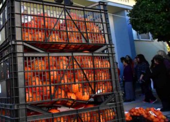 Προϊόντα Ελλήνων παραγωγών ξανά από τον Συνεταιρισμό «Πανδώρα»