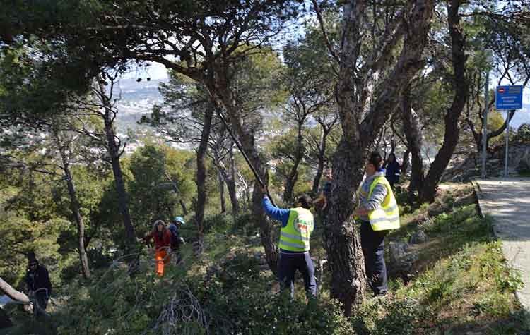 O ΣΠΑΠ καθαρίζει τον Λόφο του Προφήτη Ηλία στη Νέα Πεντέλη