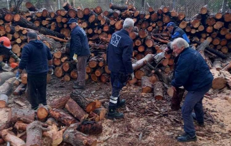 «Όραμα για την Αγία Παρασκευή»: «Χωρίς οργάνωση η διανομή ξυλείας»