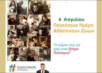 #Ενωμένο Μαρούσι: Τιμά στην πράξη την Παγκόσμια Ημέρα Αδέσποτων