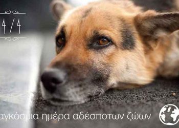 Γ. Πατούλης: «Η μέριμνα για τα αδέσποτα ζώα είναι υπόθεση όλων μας»