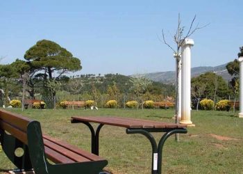 Αλλάζει εικόνα το άλσος Πεντέλης