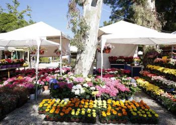 Έρχεται στις 30 Απριλίου η 65η Ανθοκομική Έκθεση