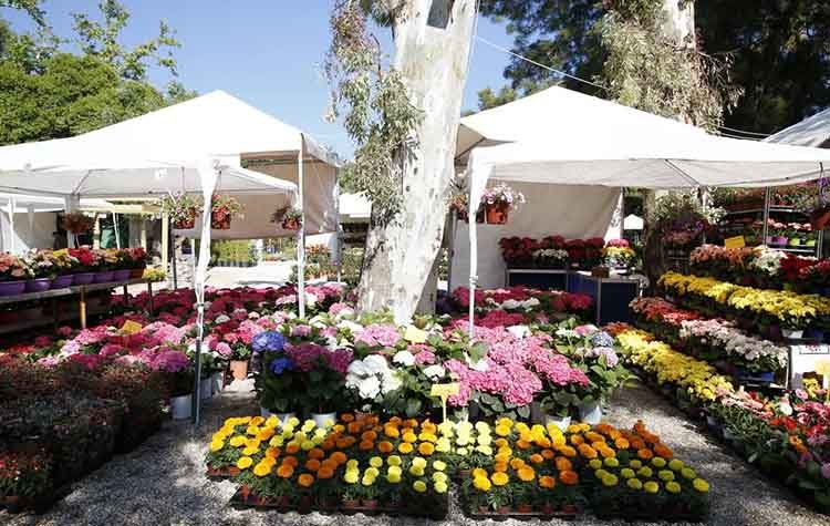 Έρχεται στις 30 Απριλίου η 65η Ανθοκομική Έκθεση