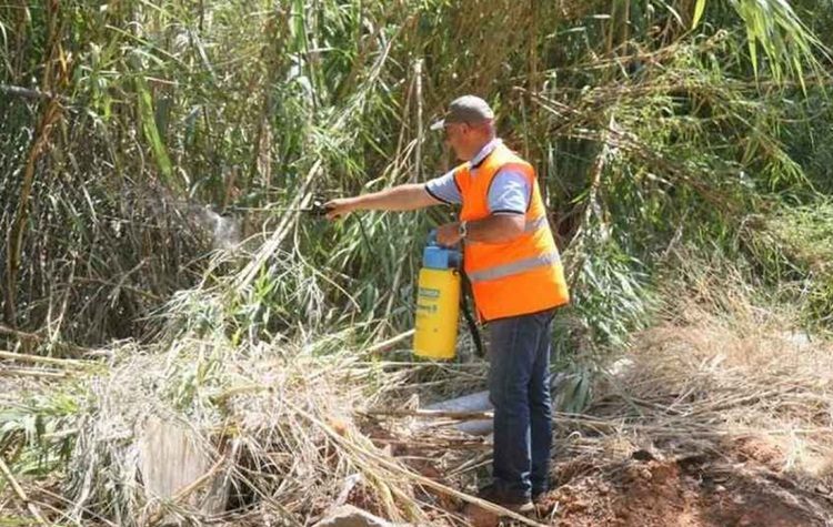 Σύσκεψη στον Δήμο για το τελικό πλάνο της αντικουνουπικής προστασίας