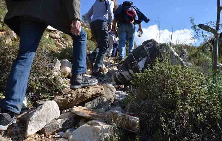 Πεζοπορία στο Πεντελικό από τον ΣΠΑΠ και τον Σύλλογο Γονέων του Κρυσταλλείου