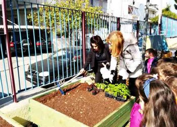 Μικροί λαχανόκηποι μέσα στα σχολεία