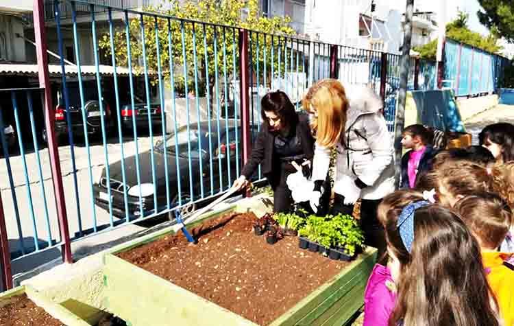 Μικροί λαχανόκηποι μέσα στα σχολεία