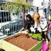 Μικροί λαχανόκηποι μέσα στα σχολεία
