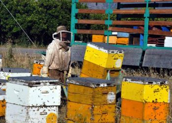 Δράσεις ενημέρωσης των μελισσοκόμων εν όψει αντιπυρικής περιόδου