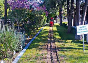 Πόλος έλξης το Οικολογικό Πάρκο Νέου Ψυχικού