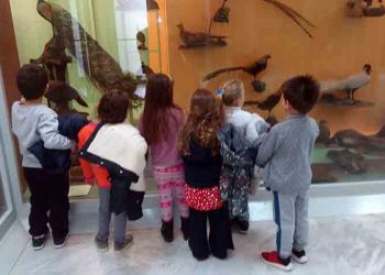 Στο Μουσείο Φυσικής Ιστορίας Αμαρουσίου οι Παιδικοί Σταθμοί