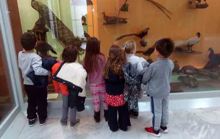 Στο Μουσείο Φυσικής Ιστορίας Αμαρουσίου οι Παιδικοί Σταθμοί