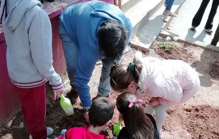 Φύτεψαν λουλούδια και… αγάπη