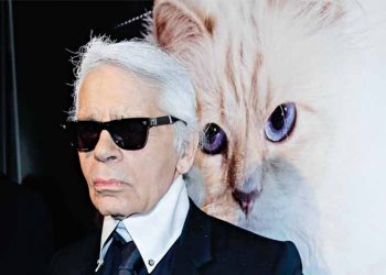 Γάτα… μεγιστάνας