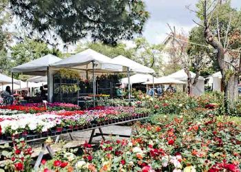 Από την «Αγορά ανθέων και καρπών» στη σημερινή «Ανθοκομική Έκθεση»