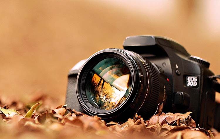 Η εικόνα και ο λόγος