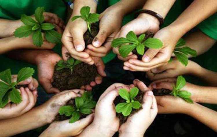 Ξεκινά η 5η Εβδομάδα Περιβάλλοντος του Δήμου Βριλησσίων