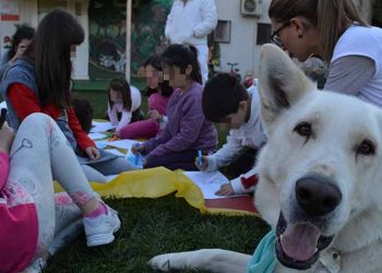 Συνεχίζεται η φιλοζωική δράση για μαθητές Δημοτικού στο Μαρούσι
