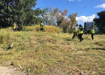 Καθαρισμοί - αποψιλώσεις κοινόχρηστων χώρων στο Μαρούσι