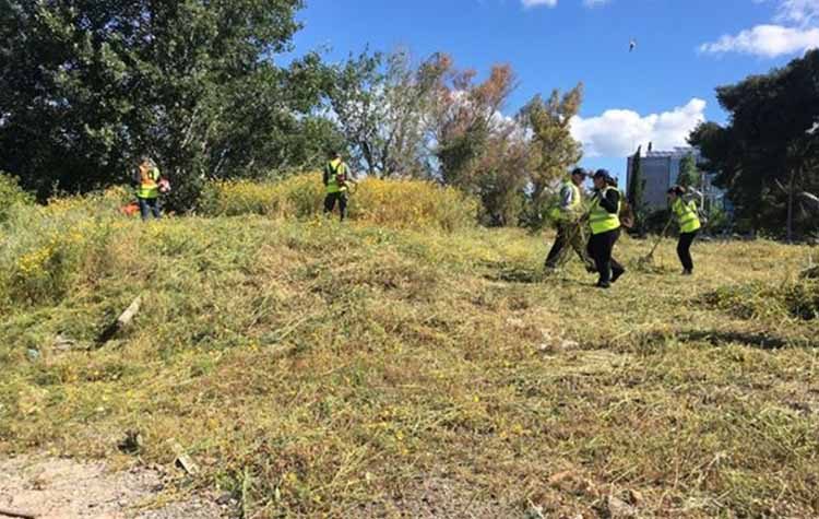 Καθαρισμοί - αποψιλώσεις κοινόχρηστων χώρων στο Μαρούσι