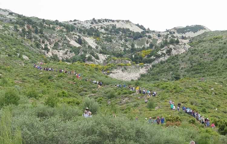 Μεγάλη η συμμετοχή στην 4η Διάσχιση της Ρεματιάς Πεντέλης - Χαλανδρίου